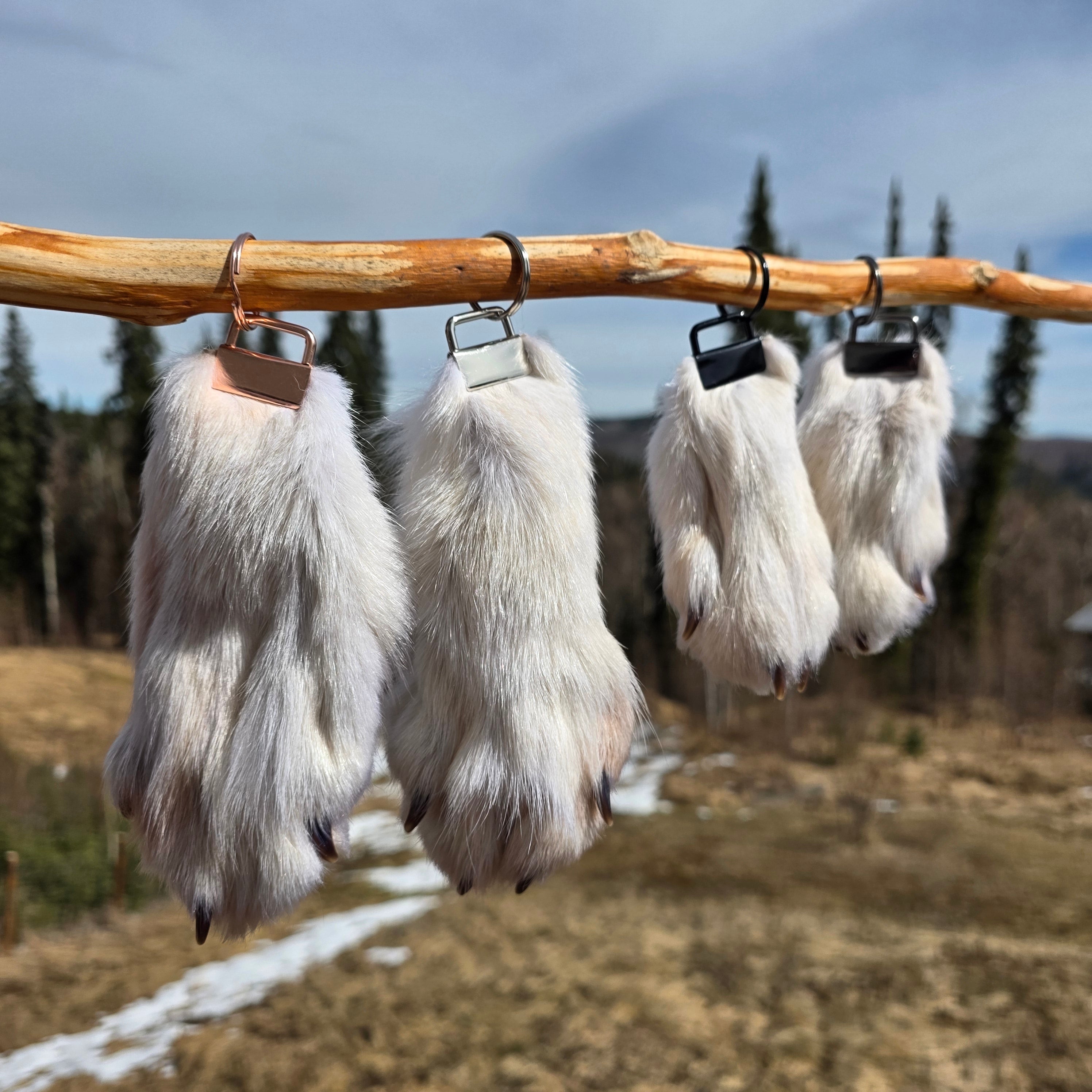 White Wolf Paws with claws