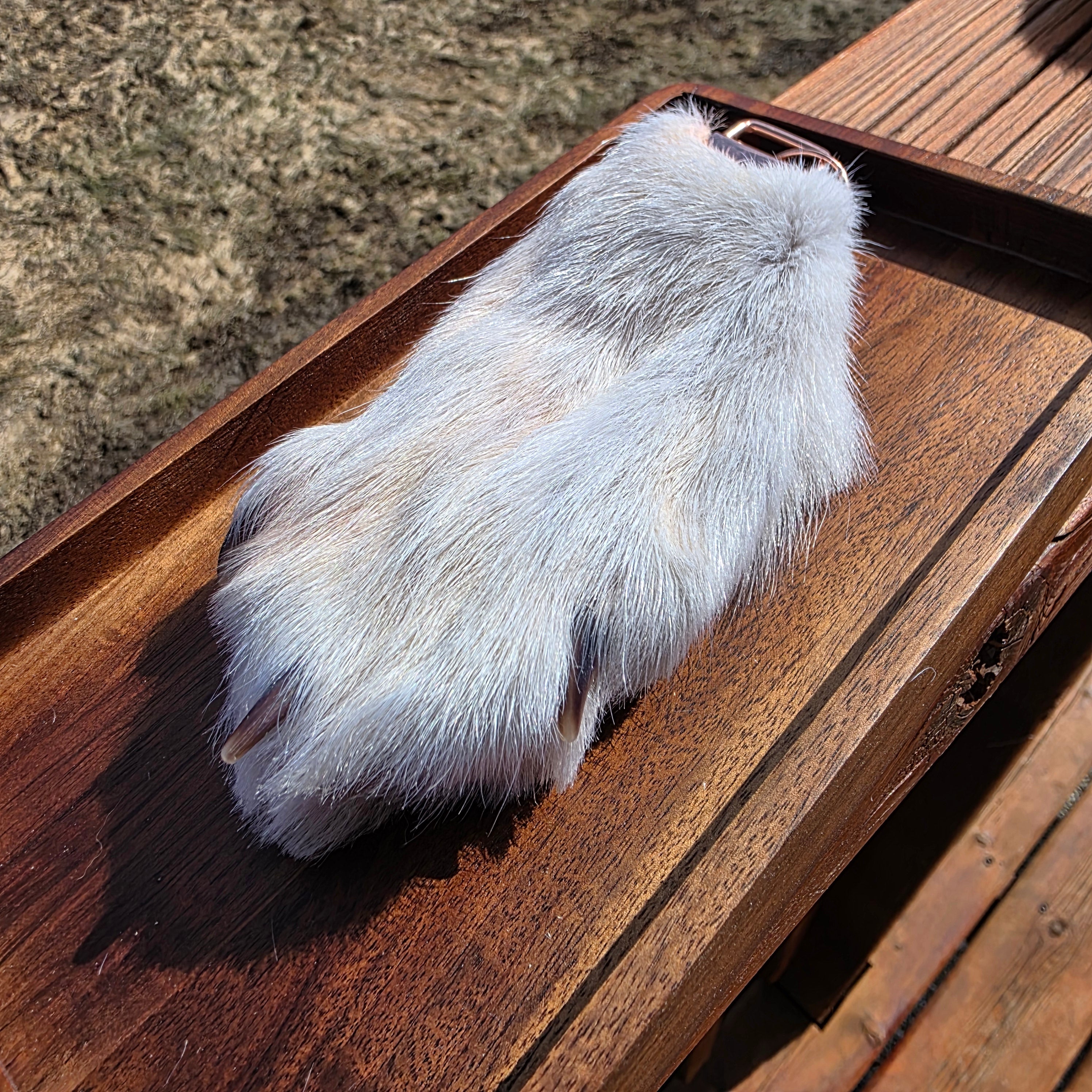 White Wolf Paws with claws
