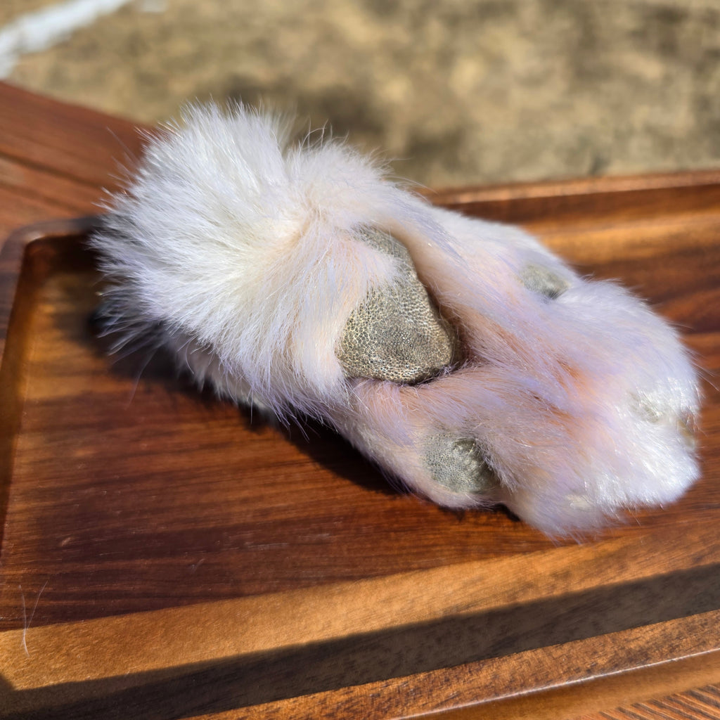 White Wolf Paws with claws