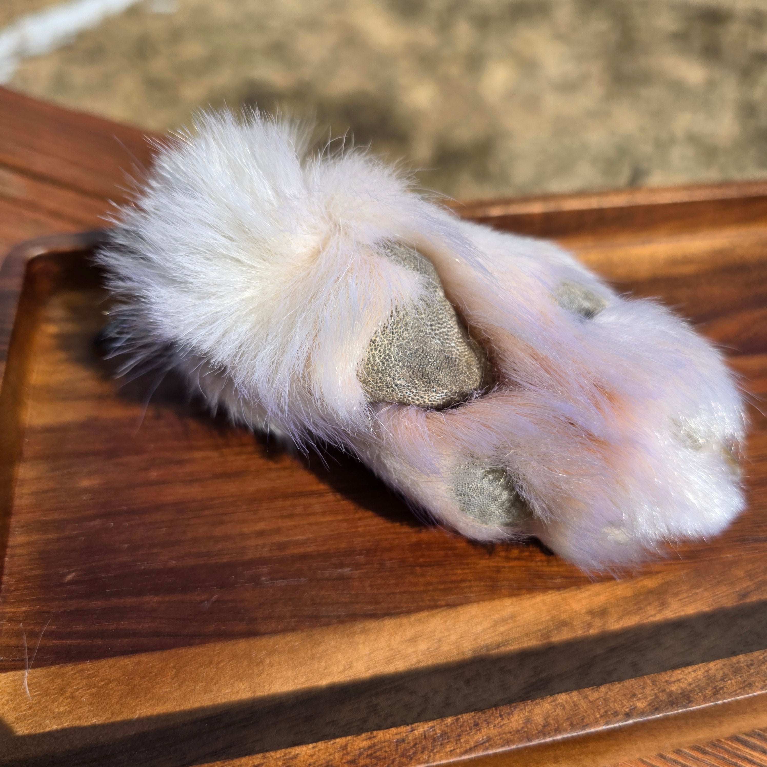 White Wolf Paws with claws