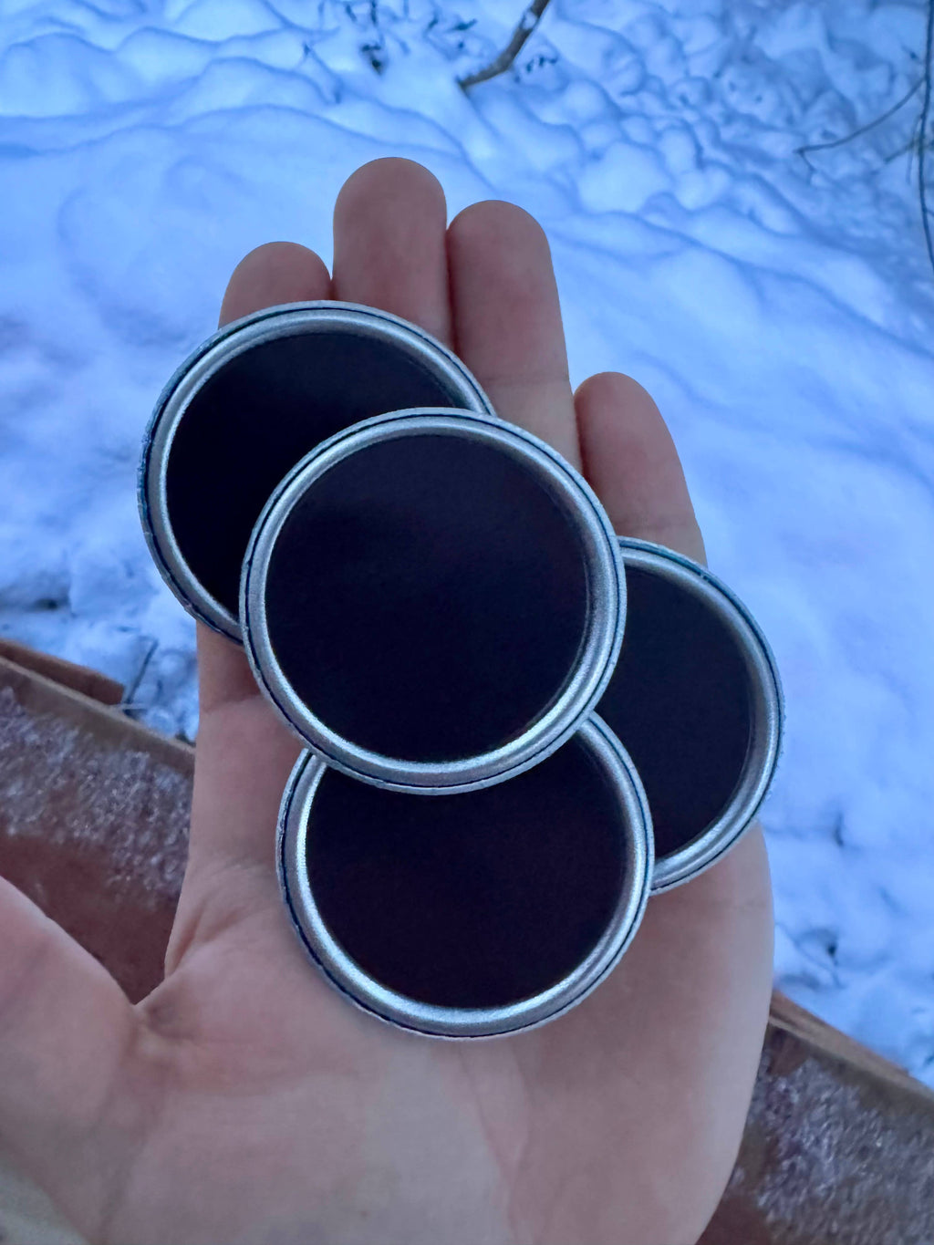 Alaska Magnets: Raven