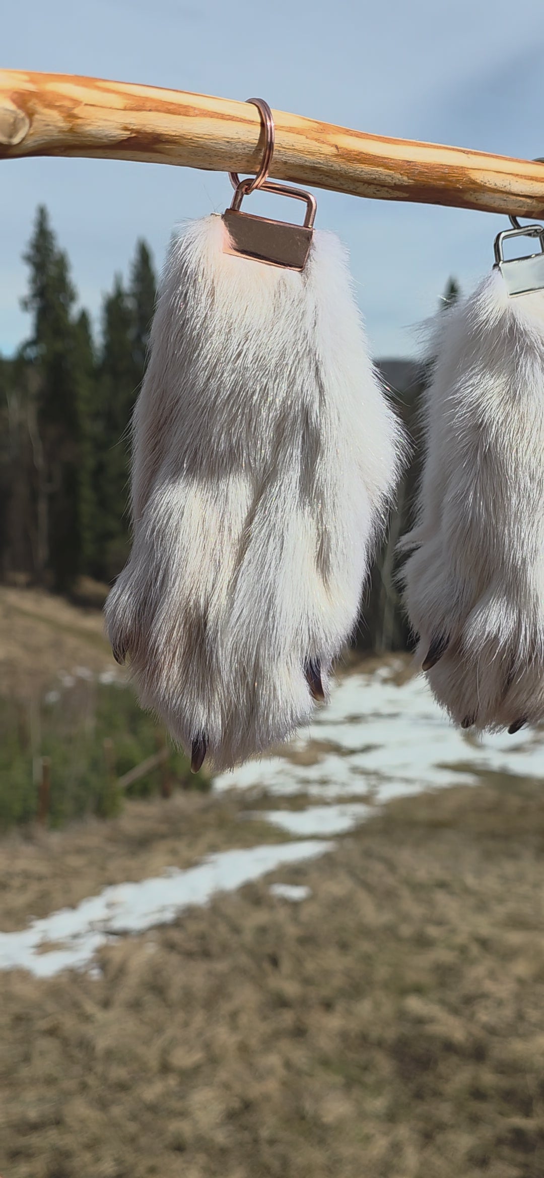 White Wolf Paws with claws